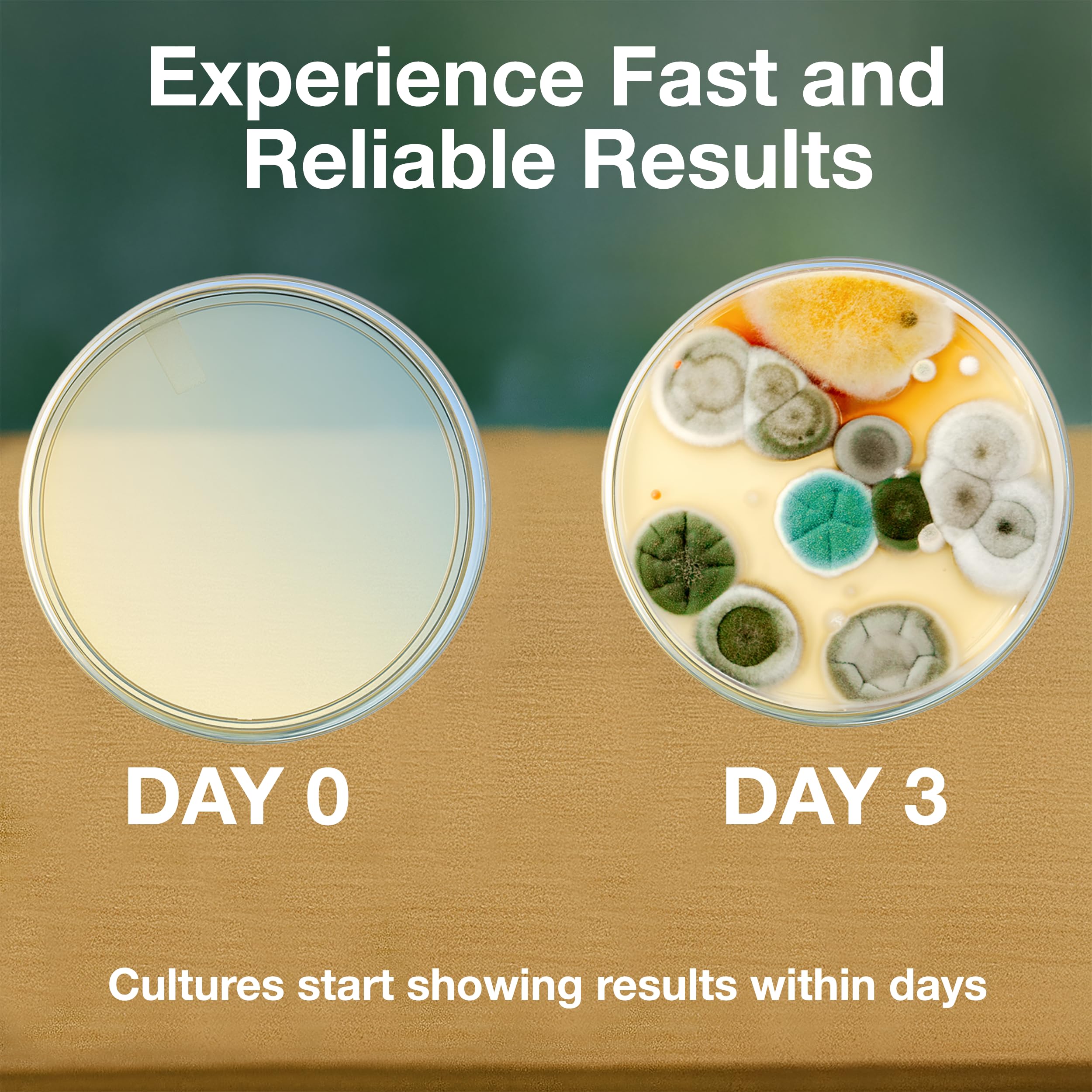 Evviva Sciences age 15 plus eligibility label helps teachers identify suitable kits.