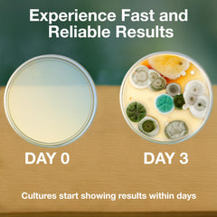 Evviva Sciences age 15 plus eligibility label helps teachers identify suitable kits.