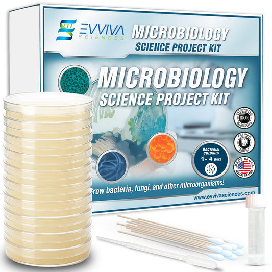 Evviva Sciences microbiology kit setup for hands-on classroom learning.