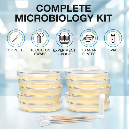 Evviva Sciences pre-poured agar plates demonstrate ready-to-use materials for quick experiments.