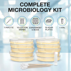 Evviva Sciences pre-poured agar plates demonstrate ready-to-use materials for quick experiments.
