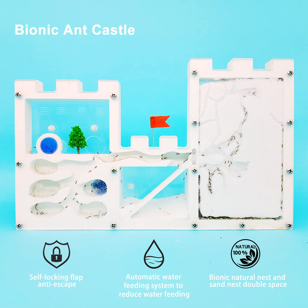 EXBEPE ant farm anti-escape panels ensure containment during play
