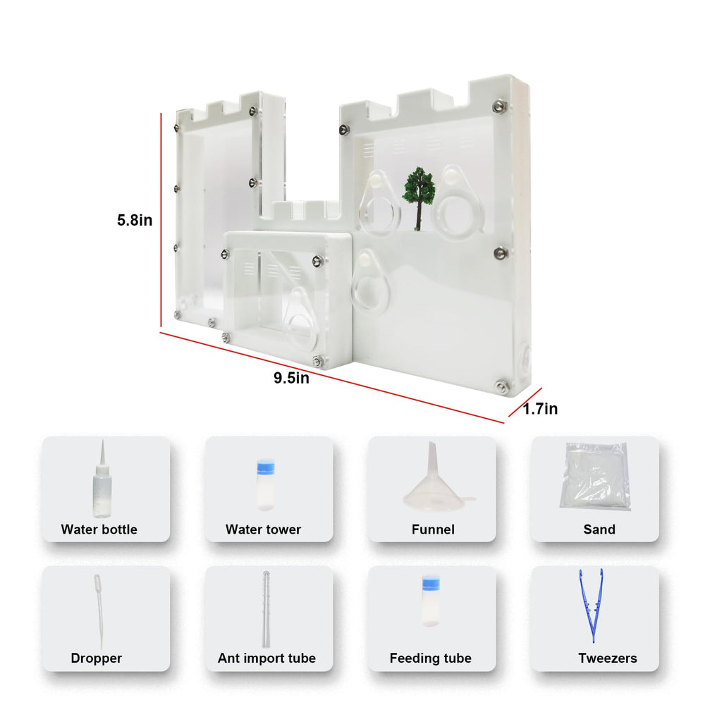 EXBEPE all-in-one ant farm supports hands-on science learning at home