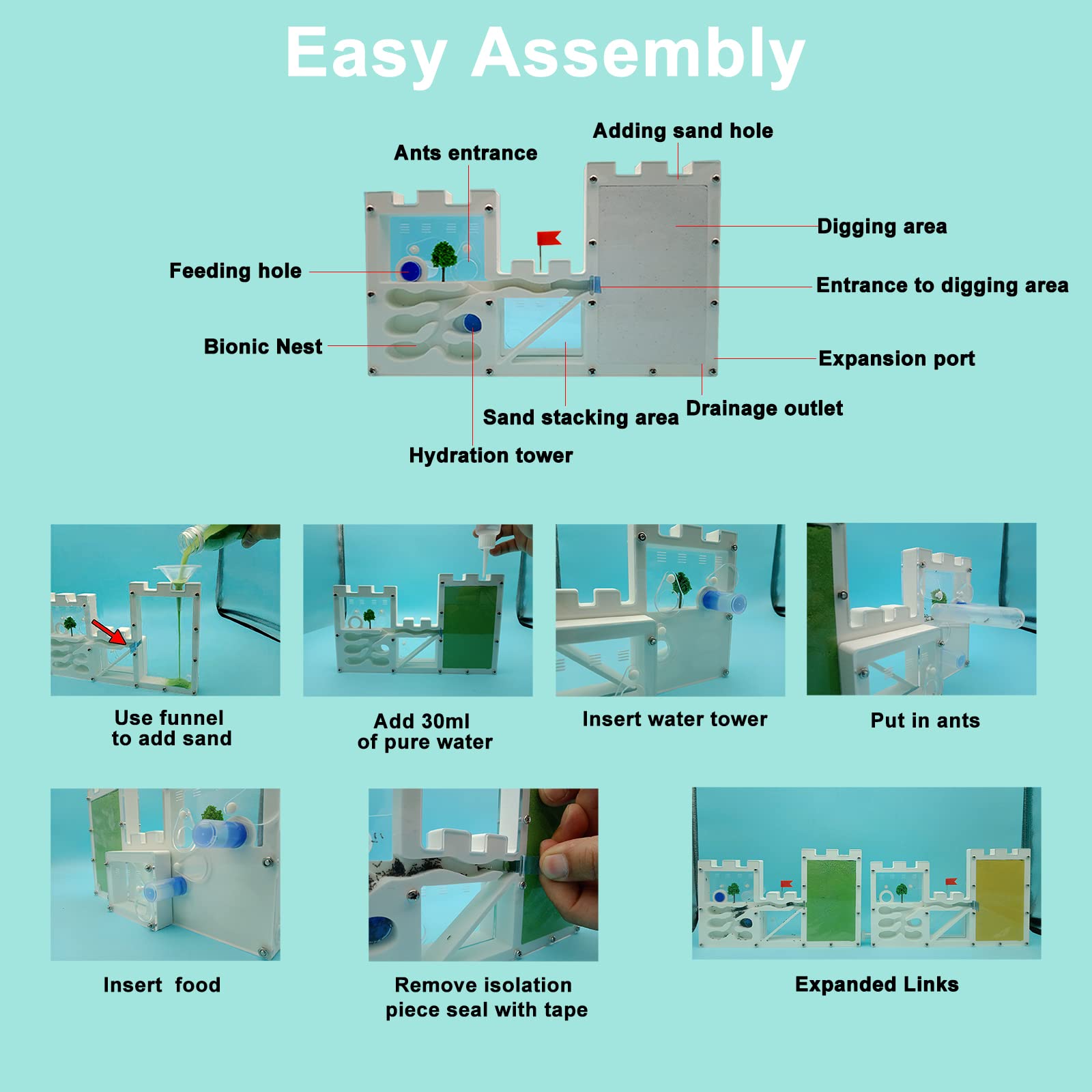 EXBEPE educational gift-ready kit with tools for observing ants
