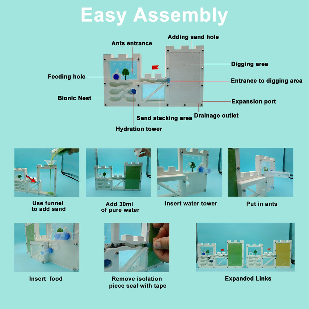 EXBEPE educational gift-ready kit with tools for observing ants