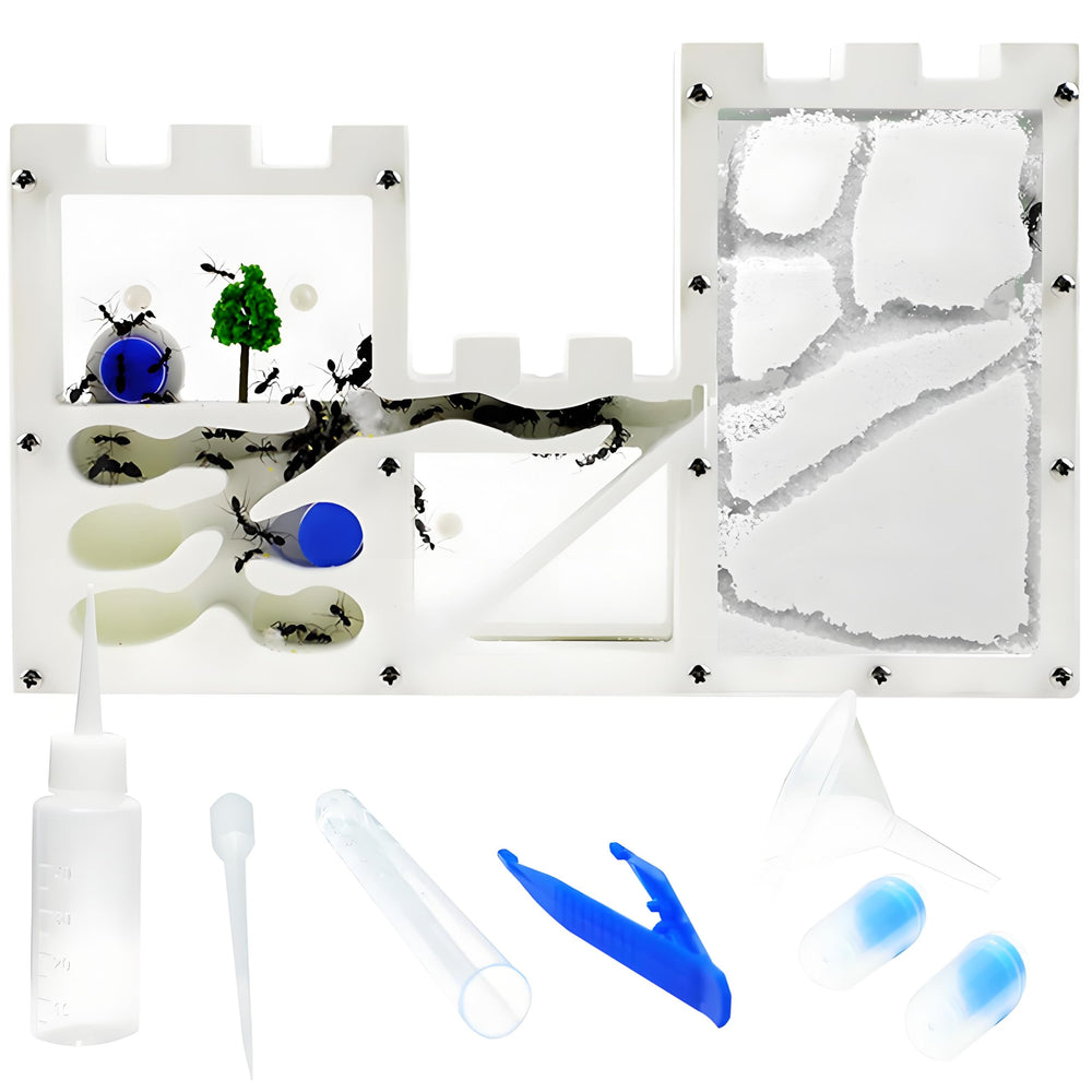 EXBEPE large sand ant farm castle front view with secure panels for safe observation