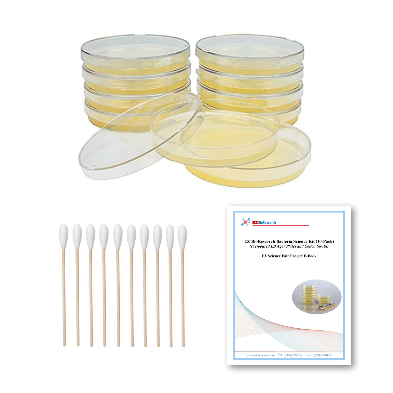 EZ BioResearch bacteria kit prepoured LB-agar plates ready for classroom experiments