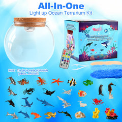 Faburo Light-Up Ocean Terrarium 13-color LED enhances nighttime play.