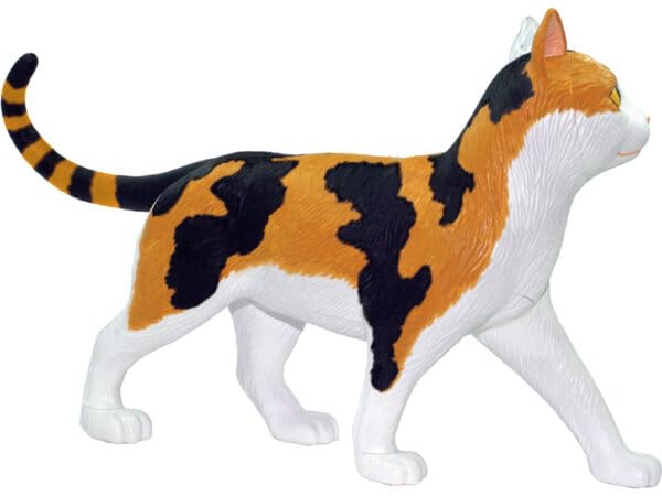 Famemaster calico cat anatomy model interior organs visible through transparent case for learning.