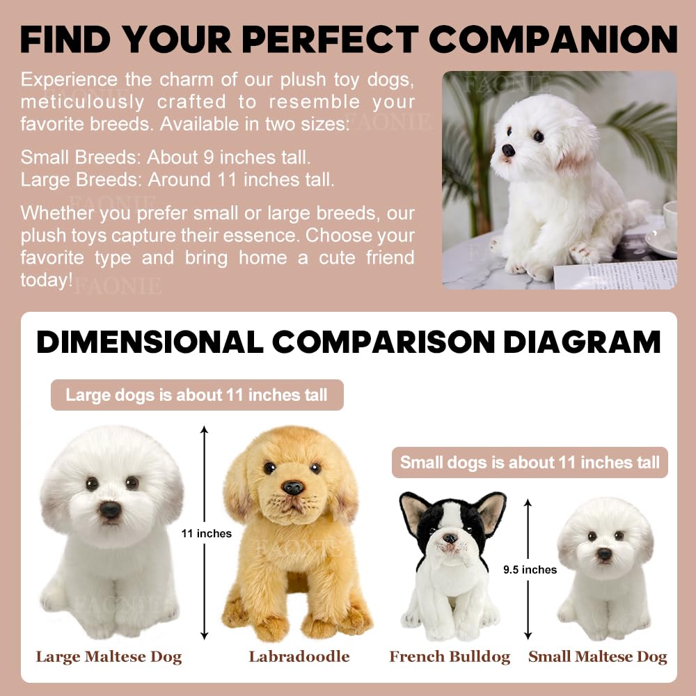 FAONIE Maltese stuffed animal care and washing guidance in a single image.