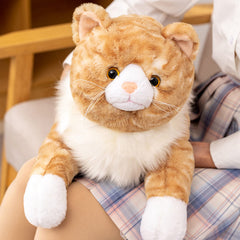 Fawowe cat weighted plush face close-up, showing soft fur and inviting cuddle feel