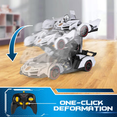 FDJ remote button operation highlights easy one-button car-to-robot switch.