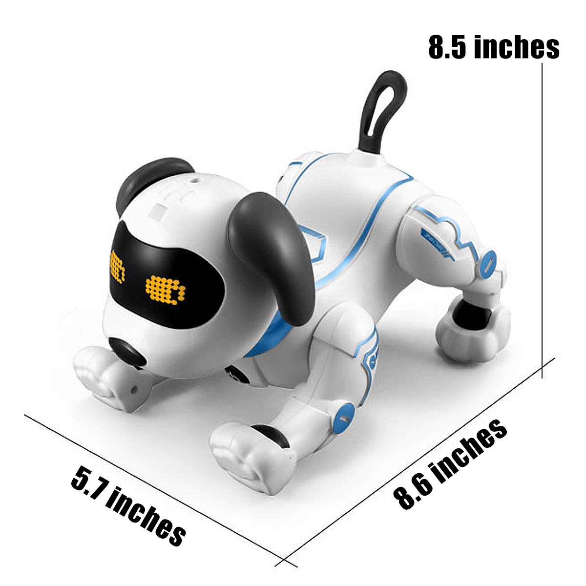 Fisca dog doing push-ups action for interactive fitness-inspired play