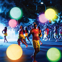 FLAMDYNO ideal for pool and beach games indoors or outdoors.