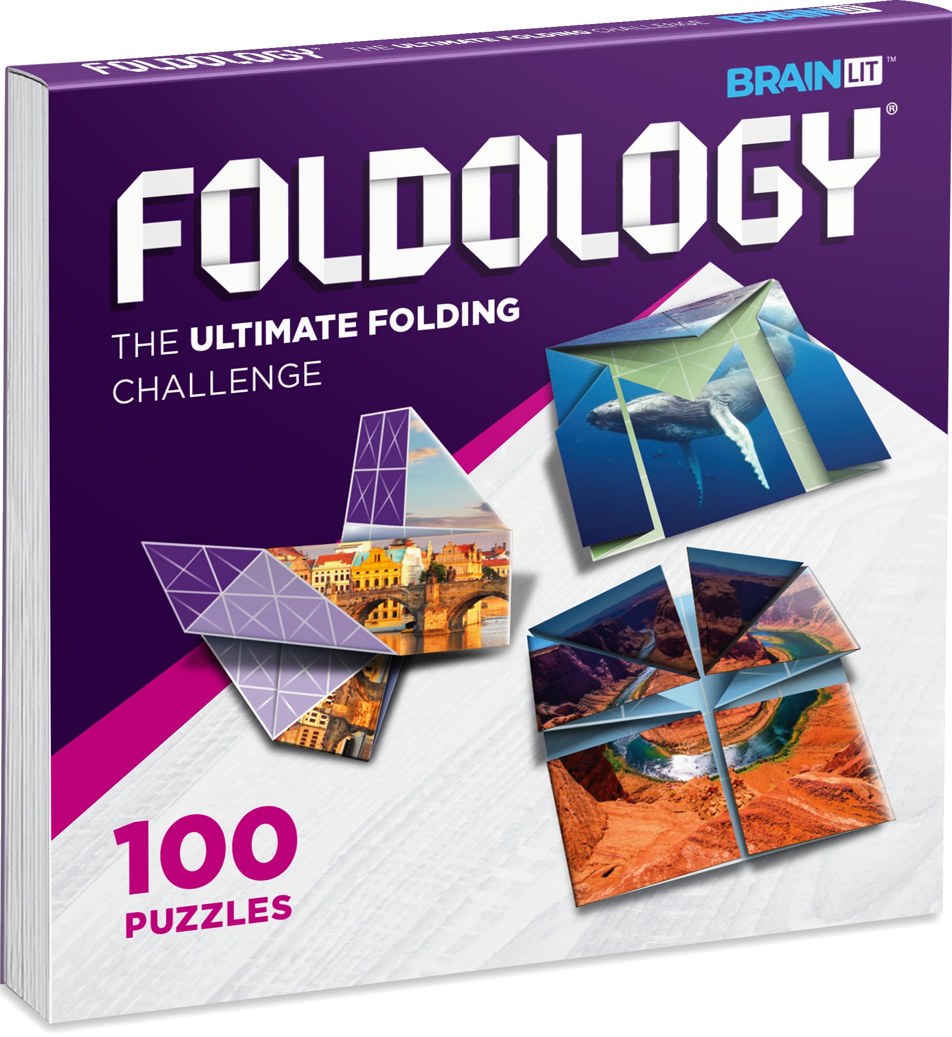 FOLDOLOGY origami puzzle collection on display, offering 100 challenges for solo brain workouts.
