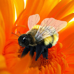 Detailed Folkmanis honey bee puppet close-up showing realistic features for pretend play.