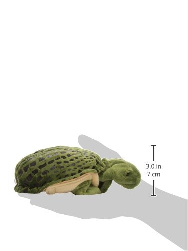 Folkmanis Little Turtle puppet on stage to engage students.