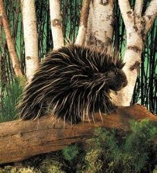 Folkmanis Porcupine Hand Puppet quill-detail highlighting texture and design.