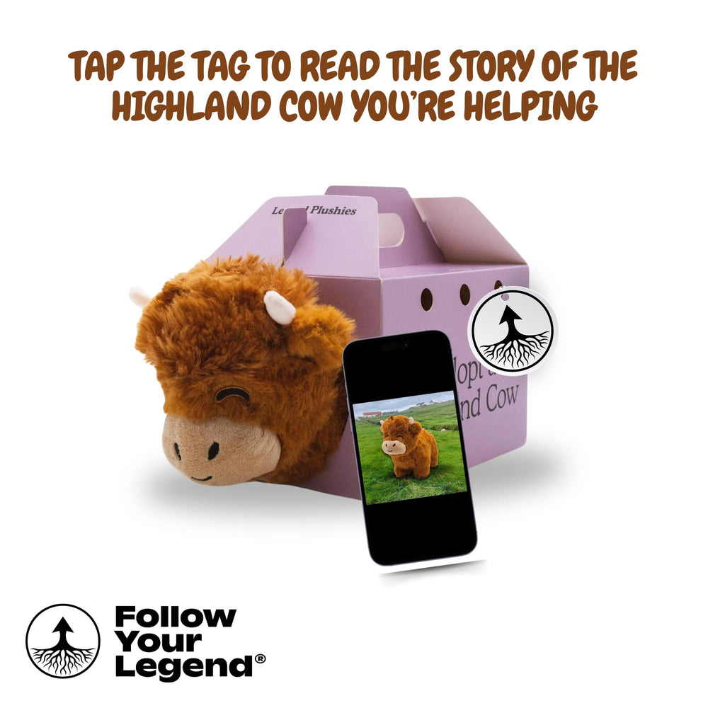 Follow Your Legend Henry the Highland Cow Plushie close-up fur texture