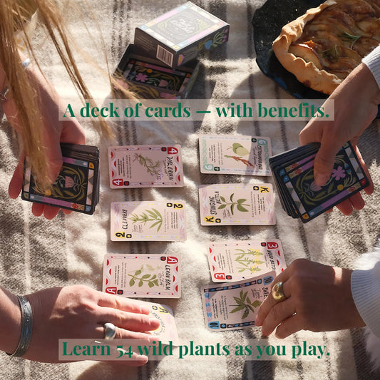 Forage Folk Wild Remedies cards, hand illustrated by Karli Fairbanks for memorable herbal lessons