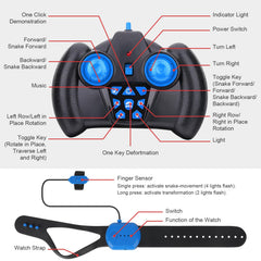 Fosgoit night play enhances immersive driving experiences.