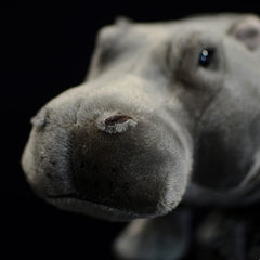 Frankiezhou Home hippo plush body texture highlights premium materials.
