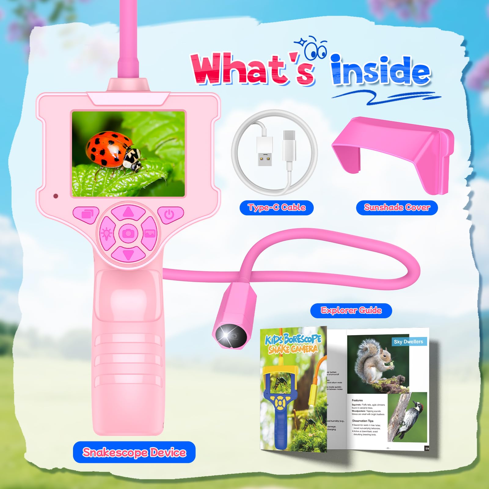 FunforFun borescope snake camera illustrated learning manual supports nature lessons.