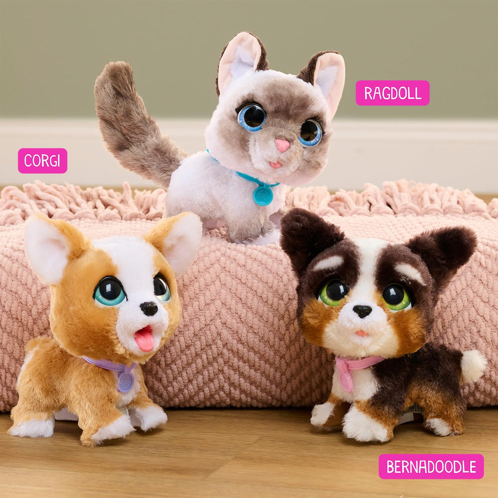 furReal Poop-A-Lots Corgi toys for kids' imaginative family fun.
