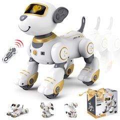 FUUY Robot Dog dances automatically, inviting kids to join the rhythm.