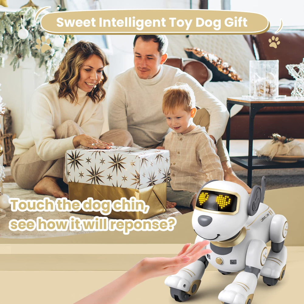 FUUY Robot Dog rechargeable session keeps play going.
