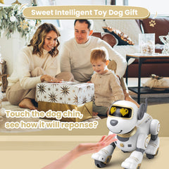 FUUY Robot Dog rechargeable session keeps play going.