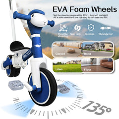 FZHZZ Tricycle rider bike mode for independent riding transitions.