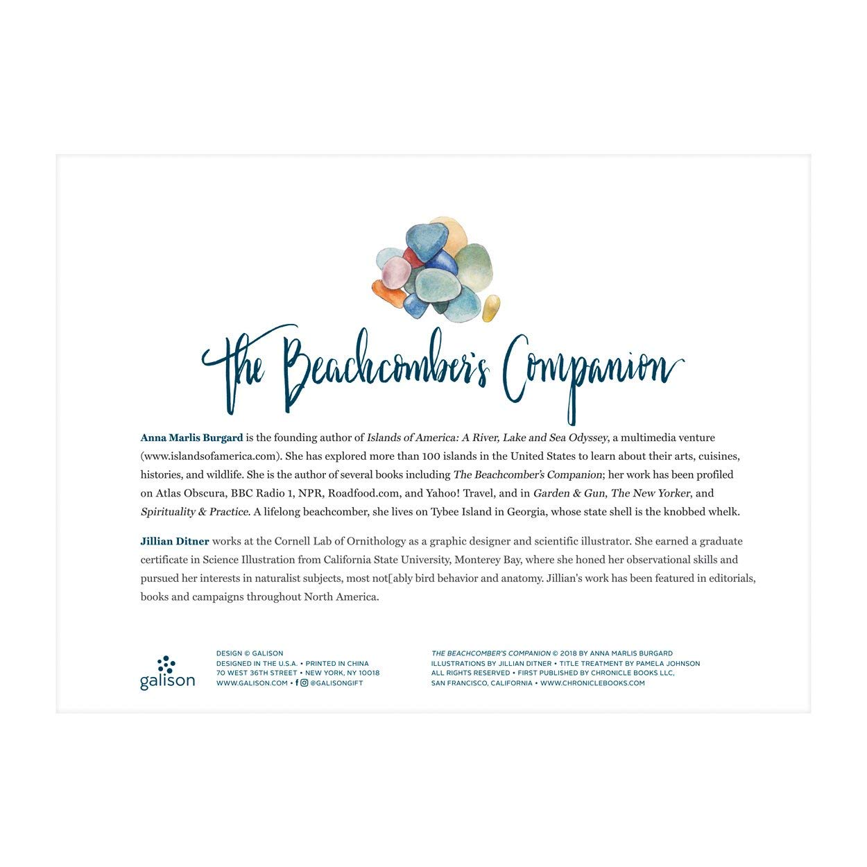 Galison Beachcomber's Companion assembly time becomes a calming, screen-free activity.