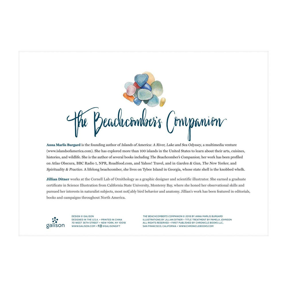 Galison Beachcomber's Companion assembly time becomes a calming, screen-free activity.