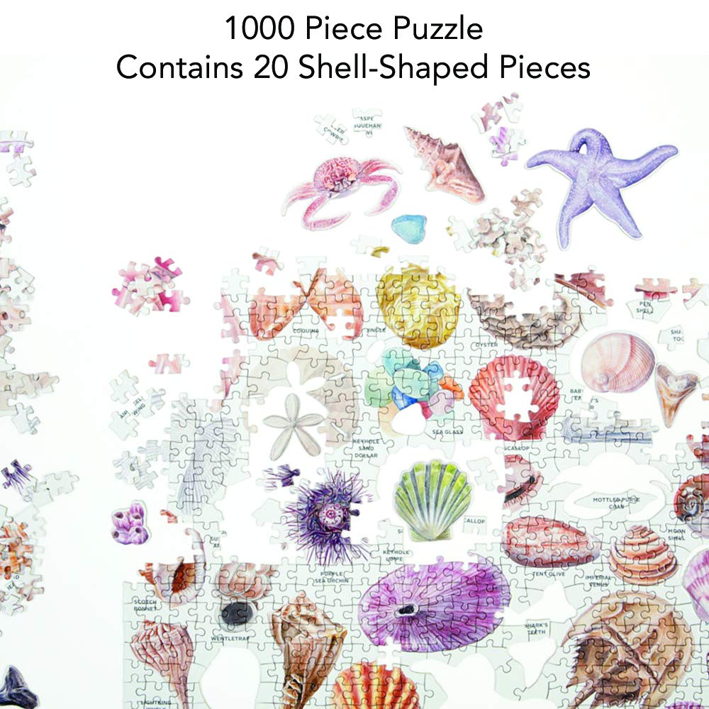 Galison Beachcomber's Companion shell-pieces die-cut design adds visual variety and challenge.