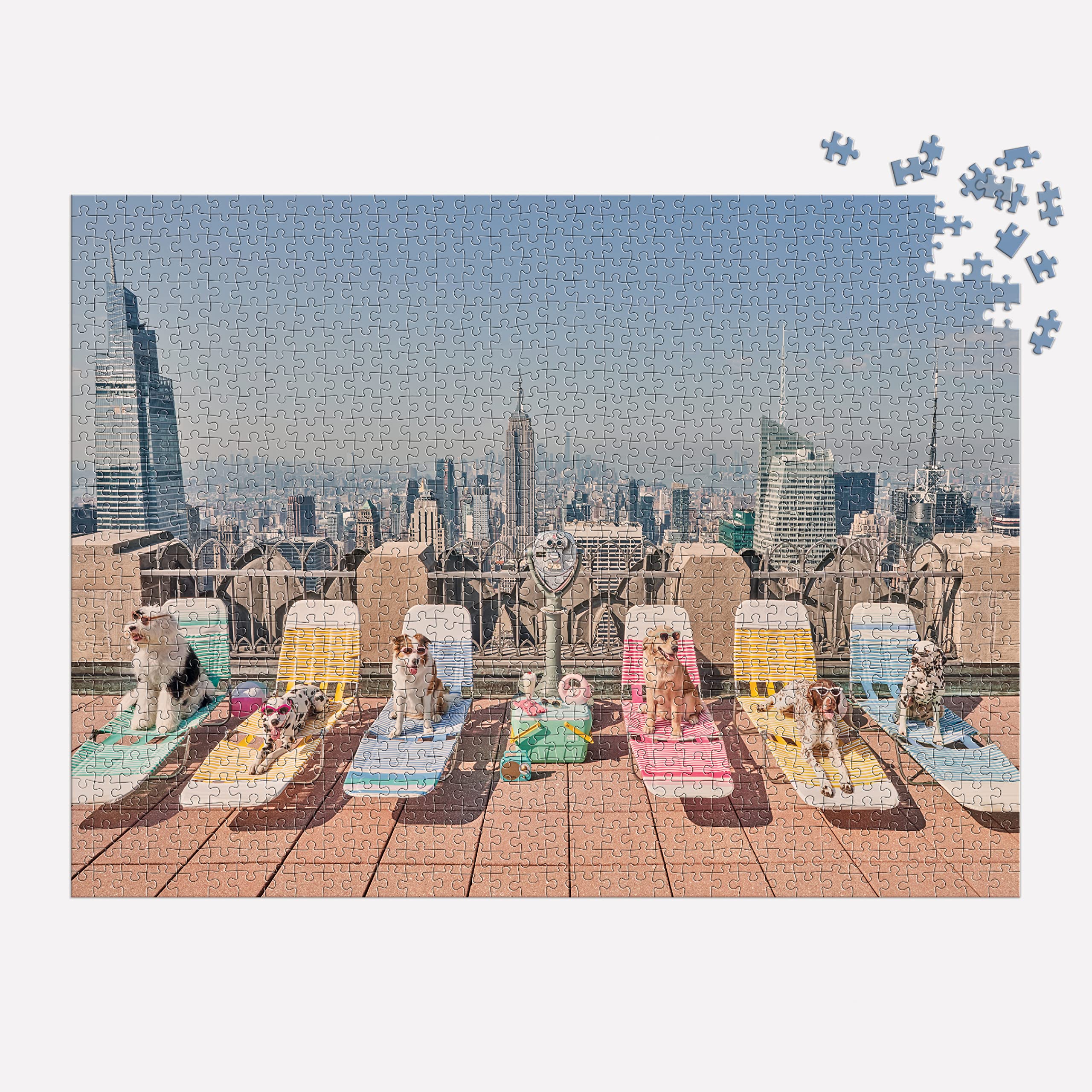 Galison Gray Malin Dogs of New York City puzzle details, reveals vibrant photography as you build.