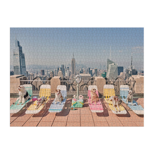 Galison Gray Malin Dogs of New York City puzzle insert, reference image for guidance.
