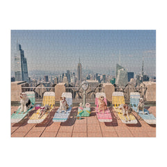 Galison Gray Malin Dogs of New York City puzzle insert, reference image for guidance.