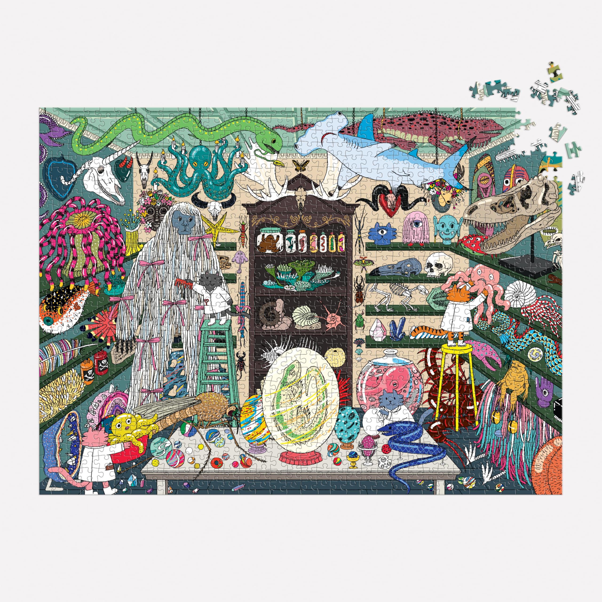 Galison World of Curiosities insert image helps reference during assembly.