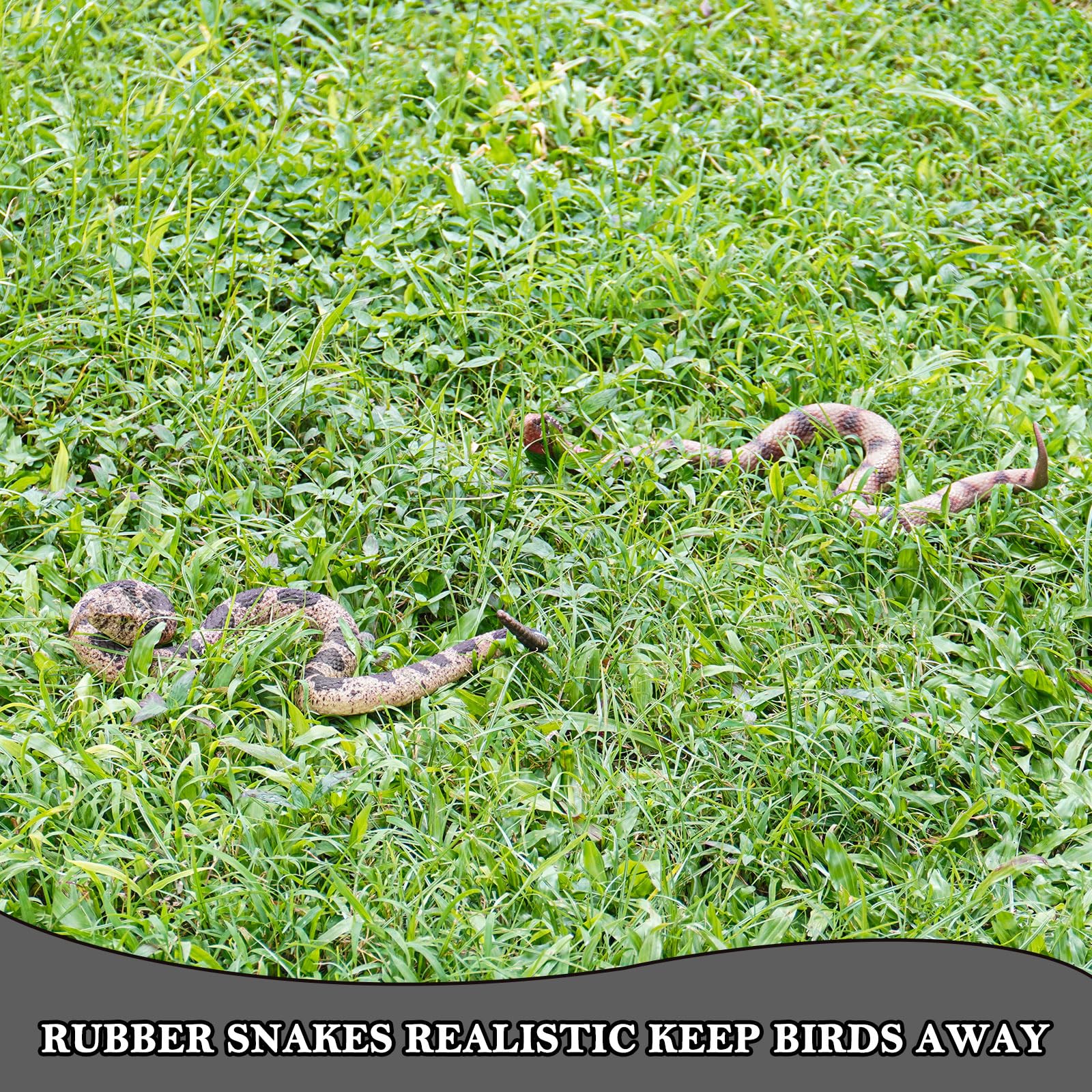 Gelabur educational snakes for safe, engaging demonstrations and pranks.