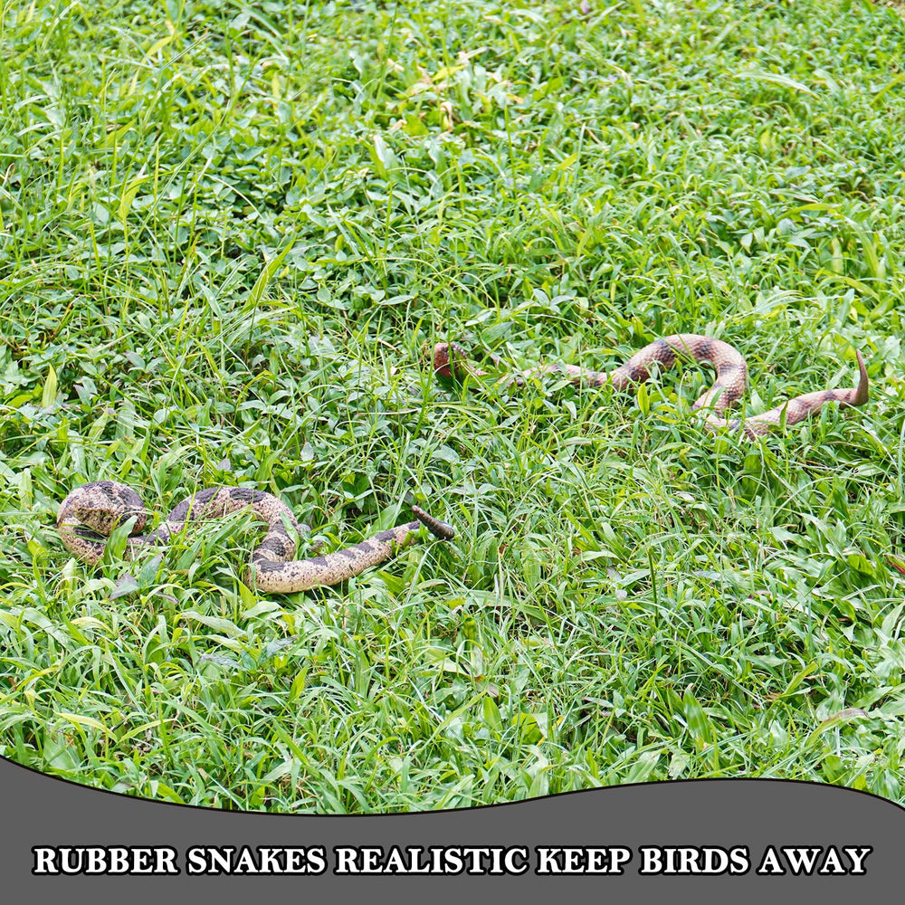 Gelabur educational snakes for safe, engaging demonstrations and pranks.