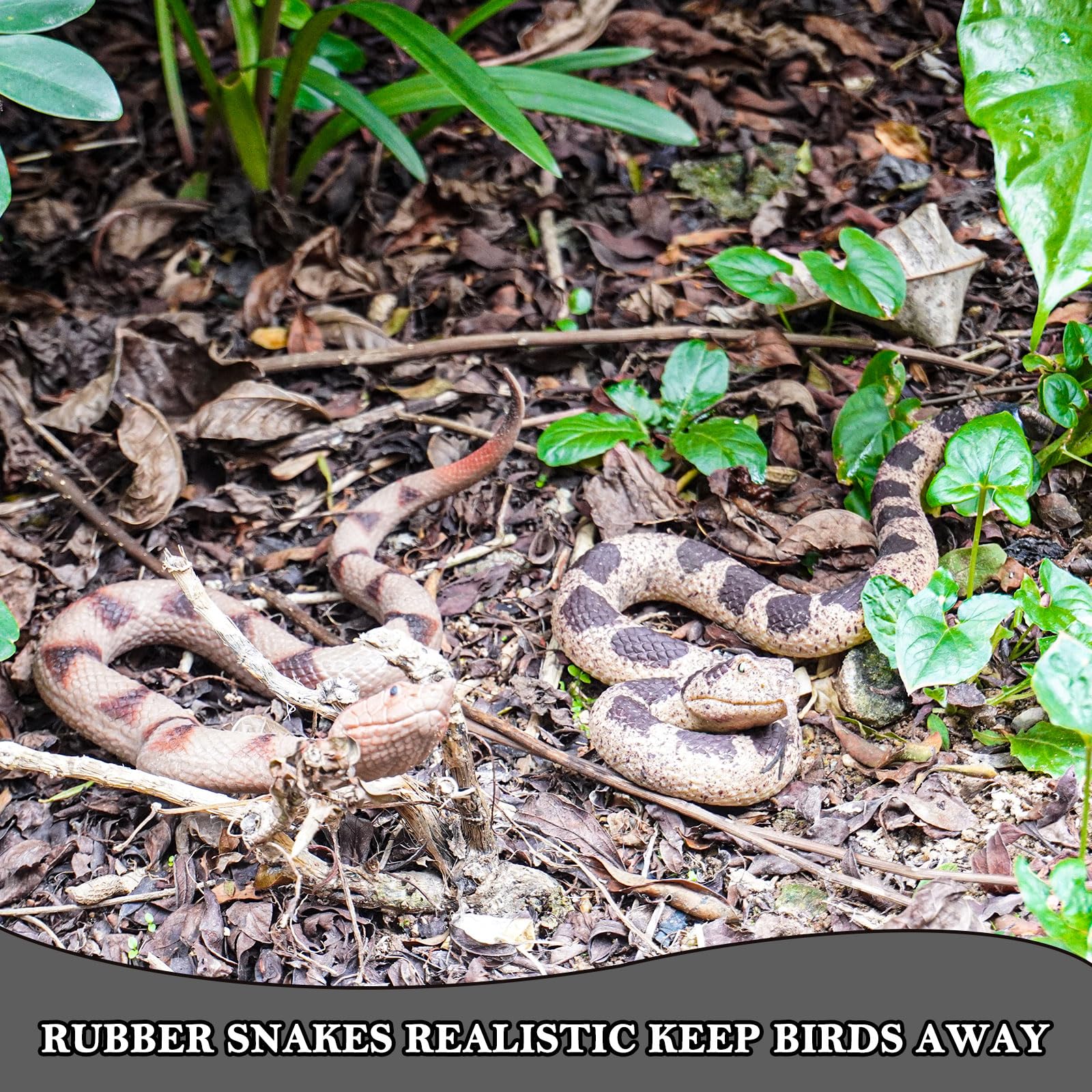 Gelabur soft rubber snakes close-up highlights lifelike texture for immersive play.