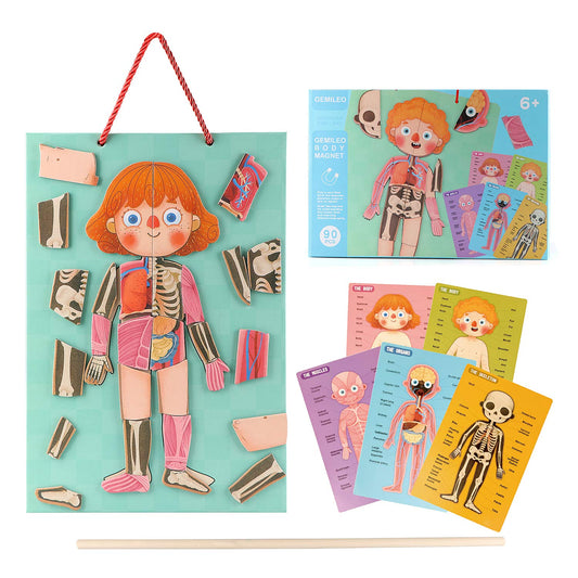 Gemileo human body puzzle boy: magnetic pieces for easy assembly and anatomy exploration.