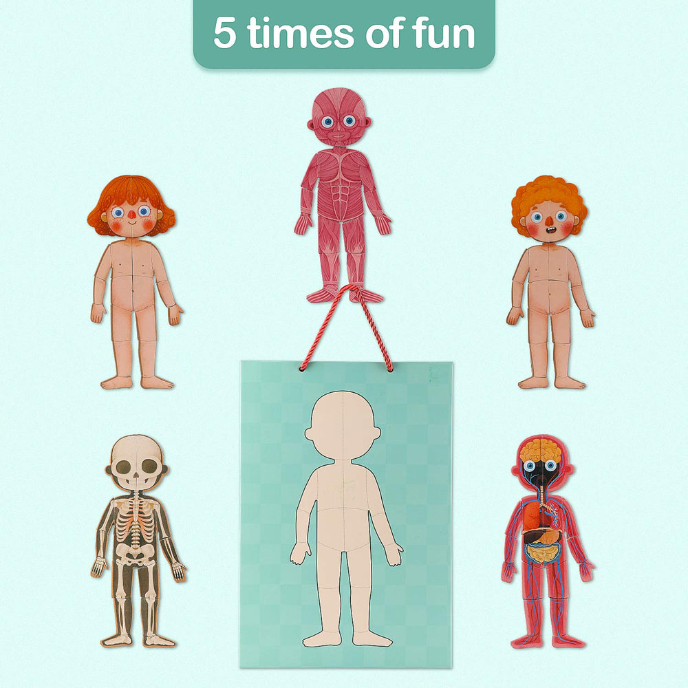 Gemileo human body puzzle educational toy: ideal gift to inspire curiosity and cognitive skills.