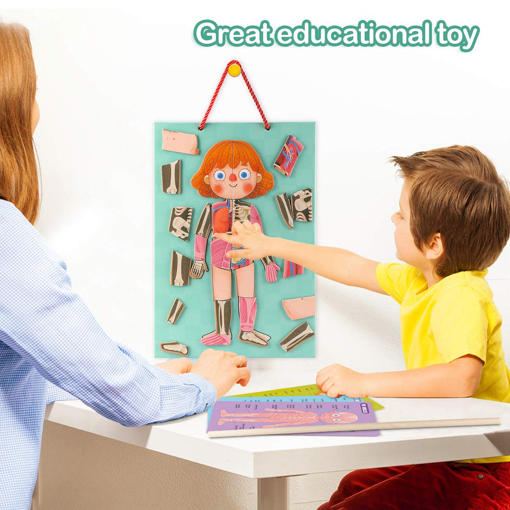 Gemileo human body puzzle skeleton: visualize bones and posture through play.