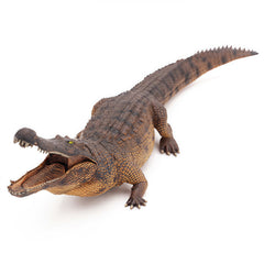 Gemini&Genius Crocodile Toy moveable jaw detail for interactive play and display