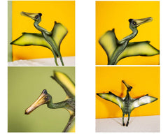 Gemini&Genius Pterosaur model toys cake topper collection 2 adds festive cake decor