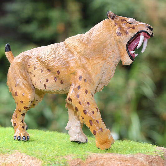 Gemini&Genius Saber-Toothed Tiger figure, detailed skin texture for a realistic prehistoric look.
