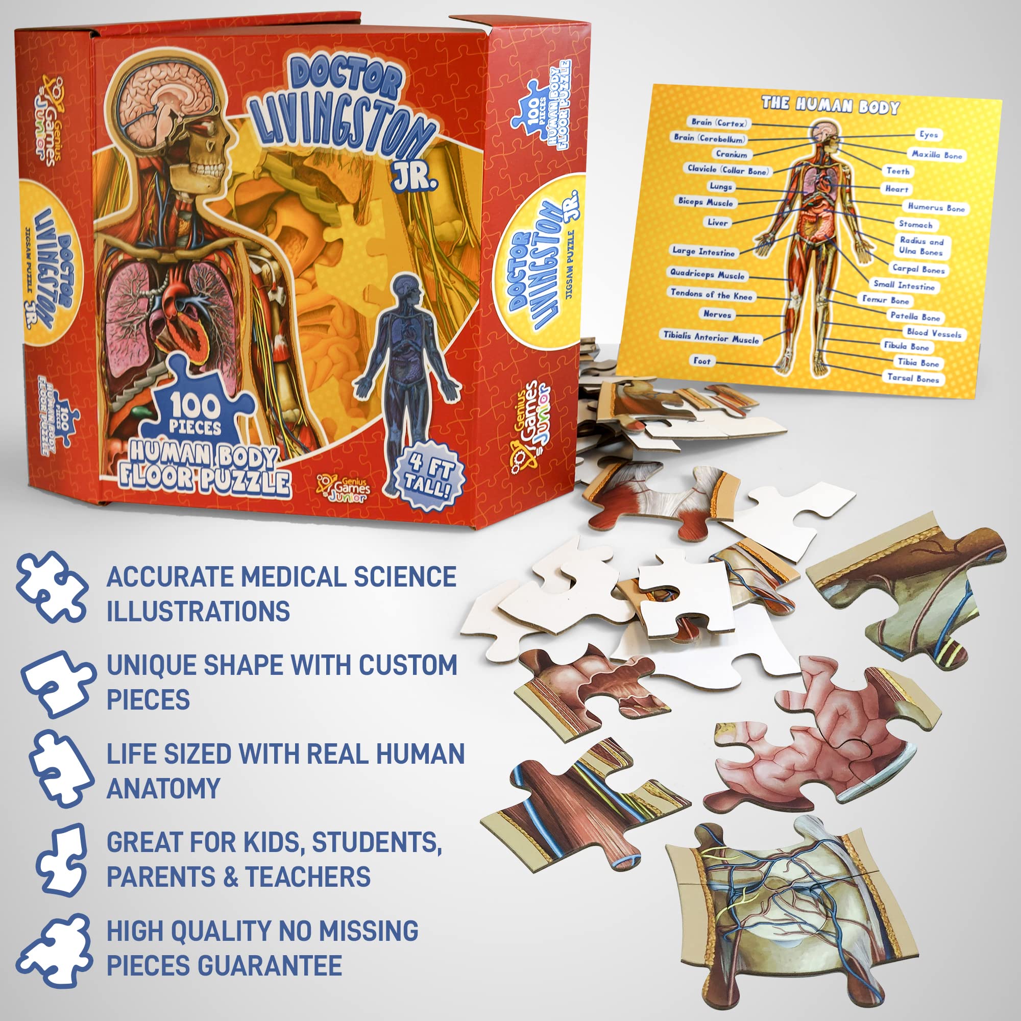 Genius Games classroom activity for teachers and parents