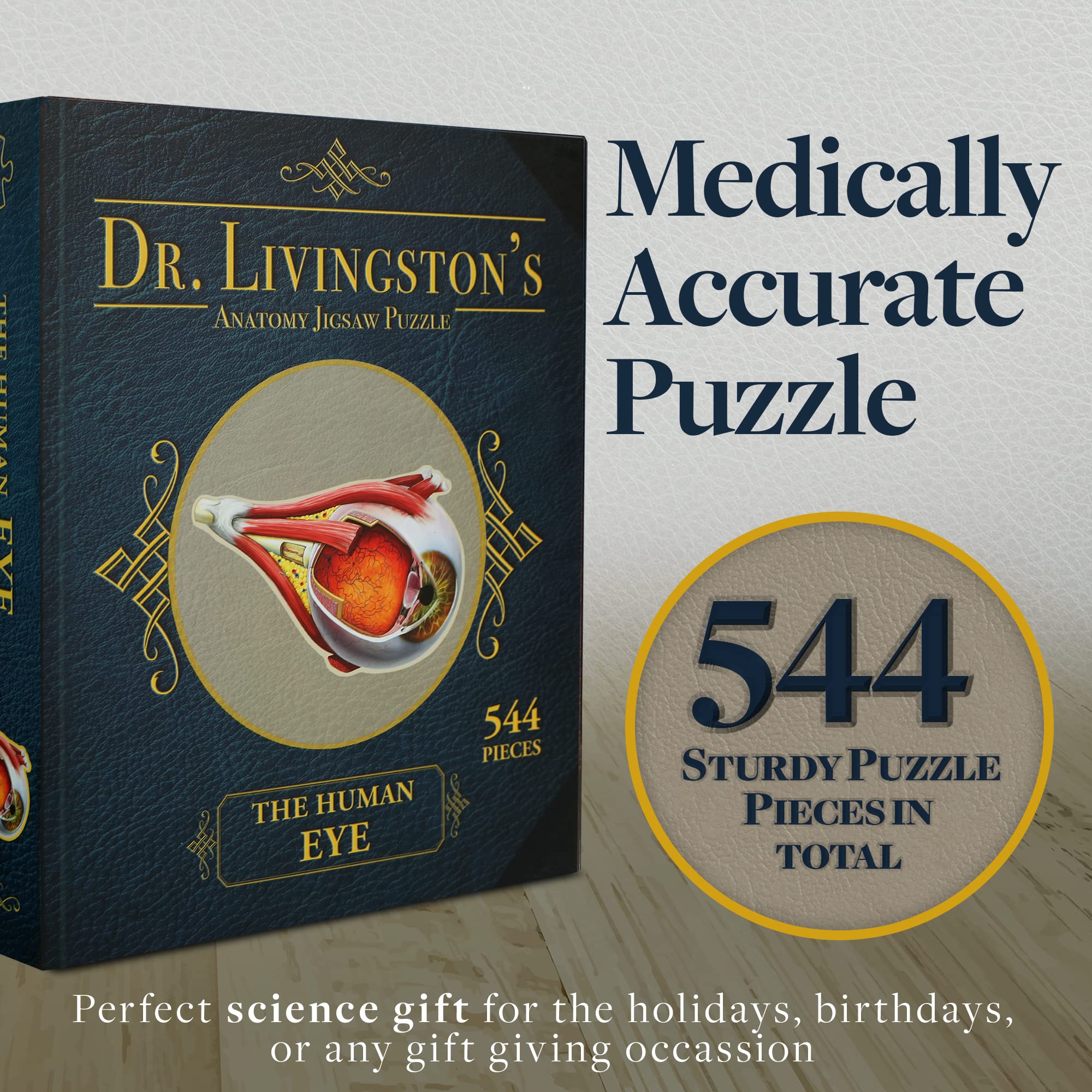 Genius Games Dr Livingston lens puzzle demonstrates the eye's focusing mechanism for students.